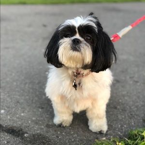 Meet your Posher, Laura